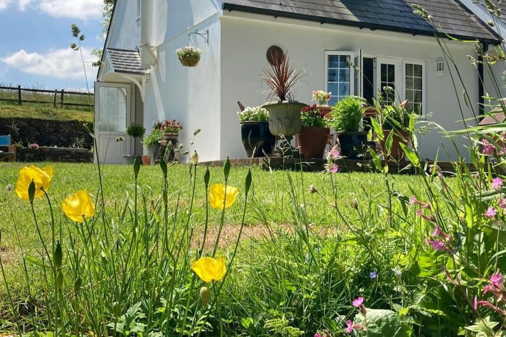 Cargibbitt Annexe Villa Liskeard Dış mekan fotoğraf