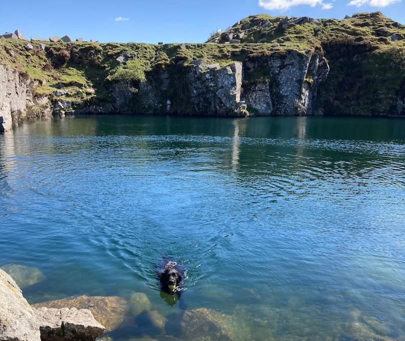 Cargibbitt Annexe Villa Liskeard Dış mekan fotoğraf
