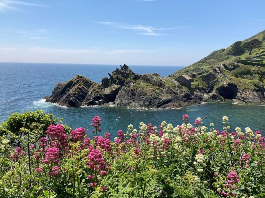Cargibbitt Annexe Villa Liskeard Dış mekan fotoğraf