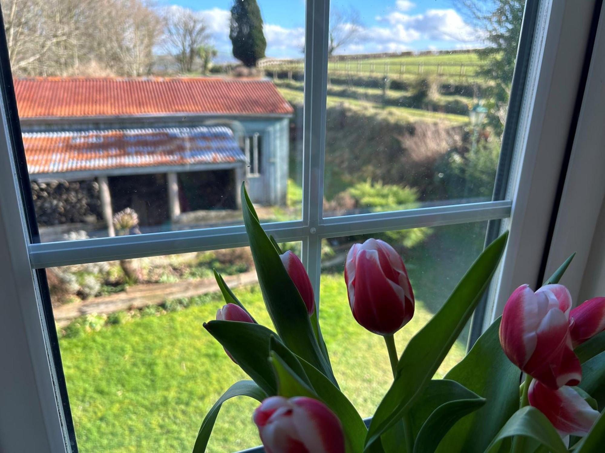Cargibbitt Annexe Villa Liskeard Dış mekan fotoğraf